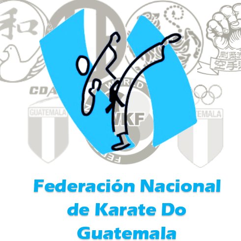 Federacion Guatemala Karate