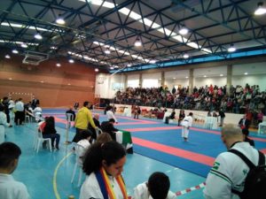 160 karatecas compiten en el regional de menores