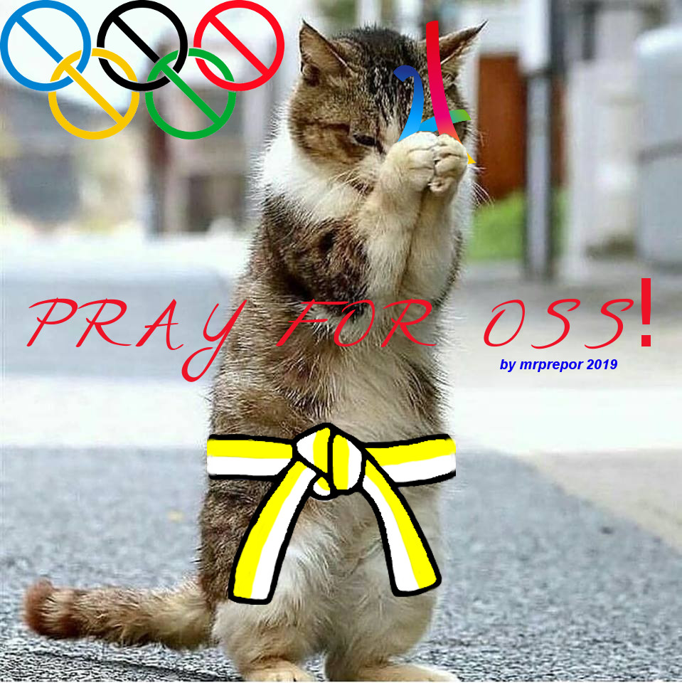Karate into the Paris 2024 olympics