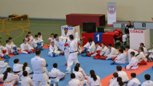 Una quincena de clubes participaron en el Torneo Infantil de Karate de Argés (Toledo)