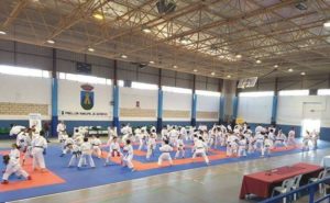 La Escuela de Karate de Talayuela participa en el Campeonato de Extremadura de Karate
