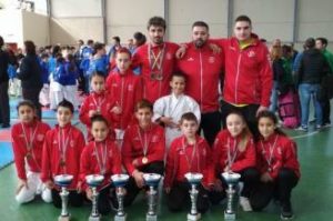 El Waseda de kárate logra trece medallas en los Campeonatos de Asturias