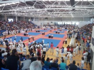 El Barco de Ávila cierra la temporada con siete medallas en el regional